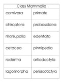 Class Mammalia Classification Set - M&M Montessori Materials
 - 1