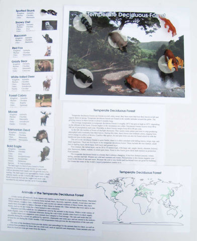 Temperate Deciduous Forest - M&M Montessori Materials