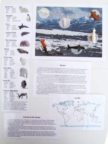 Tundra - M&M Montessori Materials