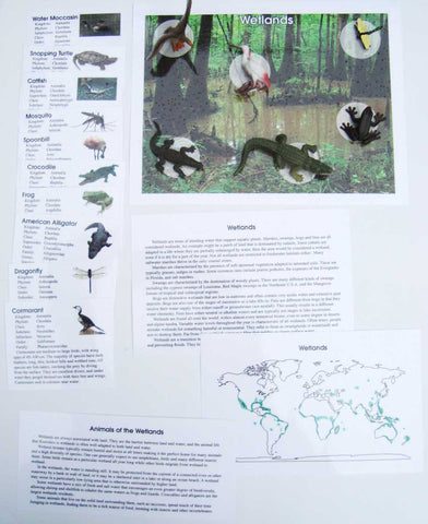 Wetlands - M&M Montessori Materials