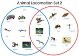 Animal Locomotion - M&M Montessori Materials
 - 2