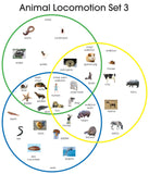 Animal Locomotion - M&M Montessori Materials
 - 3