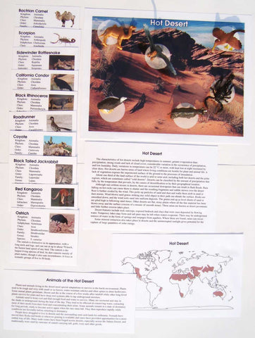 Hot Desert - M&M Montessori Materials