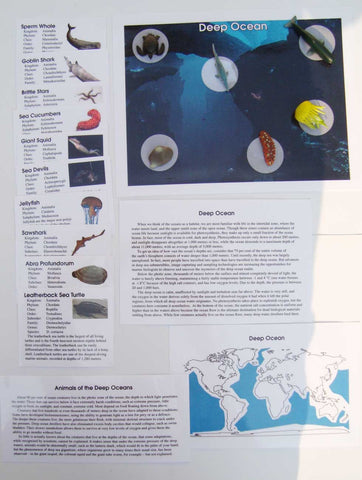 Deep Ocean - M&M Montessori Materials