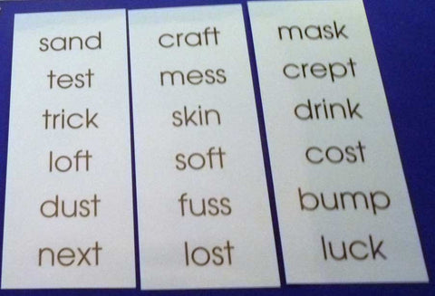 Blue Basic Word Lists - M&M Montessori Materials
