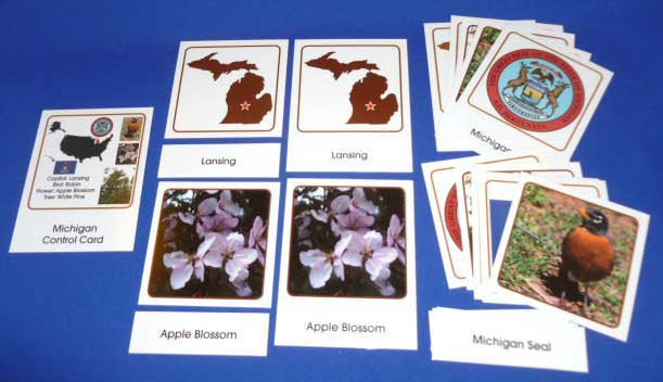 Classification Card Color U.S. States Classification Cards Sets – Montessori Materials by Lakeview
