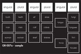 Singular-Plural Set - M&M Montessori Materials
 - 3