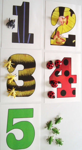 Insect Counting - M&M Montessori Materials
