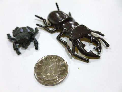 Beetle - M&M Montessori Materials
