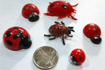 Bug - Ladybug - M&M Montessori Materials

