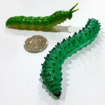 Caterpillar - M&M Montessori Materials
