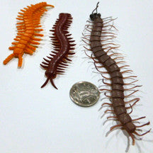 Centipede - M&M Montessori Materials
