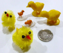 Chick - M&M Montessori Materials
