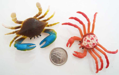 Crab - M&M Montessori Materials
