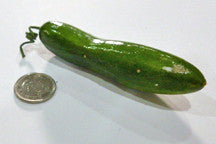 Cucumber - M&M Montessori Materials
