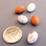 Egg - M&M Montessori Materials
 - 2