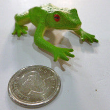 Frog - M&M Montessori Materials
