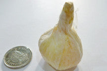 Garlic - M&M Montessori Materials
