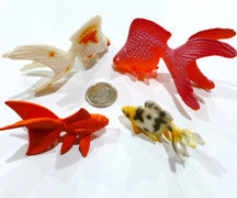 Goldfish - M&M Montessori Materials
