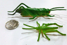 Grasshopper - M&M Montessori Materials
