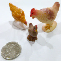 Hen - Chicken - M&M Montessori Materials
