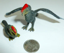 Hornbill - M&M Montessori Materials
