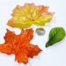 Leaf - M&M Montessori Materials
