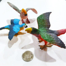 Macaw - M&M Montessori Materials
