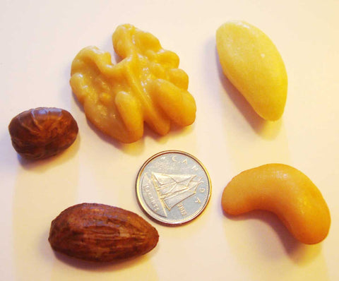 Nut (food) - M&M Montessori Materials
