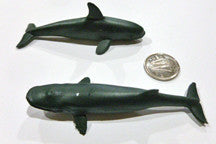 Orca (Killer Whale) - M&M Montessori Materials
