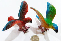 Parrot - M&M Montessori Materials
