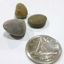 Pebble - M&M Montessori Materials
