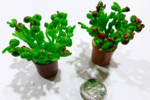 Plant (potted) - M&M Montessori Materials
 - 1