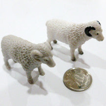 Ram - Sheep - M&M Montessori Materials
