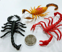 Scorpion - M&M Montessori Materials
