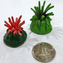 Sea Anemone - M&M Montessori Materials
