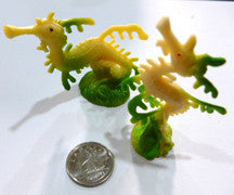 Sea Dragon - M&M Montessori Materials
