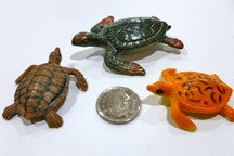 Sea Turtle - M&M Montessori Materials
