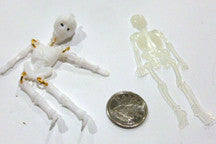 Skeleton - M&M Montessori Materials
