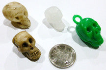 Skull - M&M Montessori Materials

