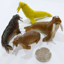 Walrus - M&M Montessori Materials
