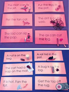 Pink Sentences & Objects Set - M&M Montessori Materials
