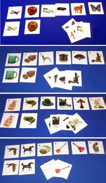 Picture Matching Set A - Exact Match - M&M Montessori Materials
