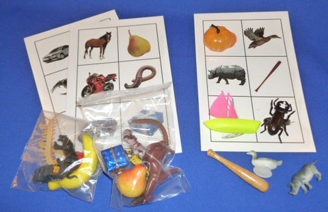 Picture Object Matching Set A - M&M Montessori Materials
