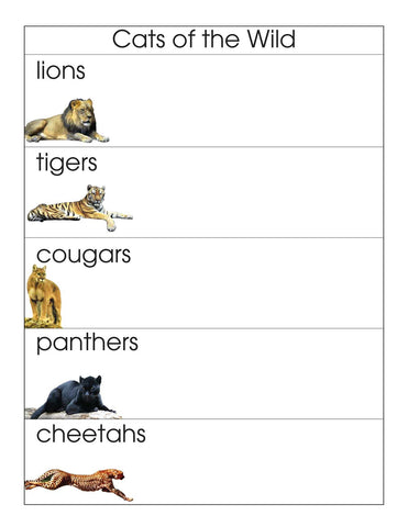 Cats of the Wild - M&M Montessori Materials
