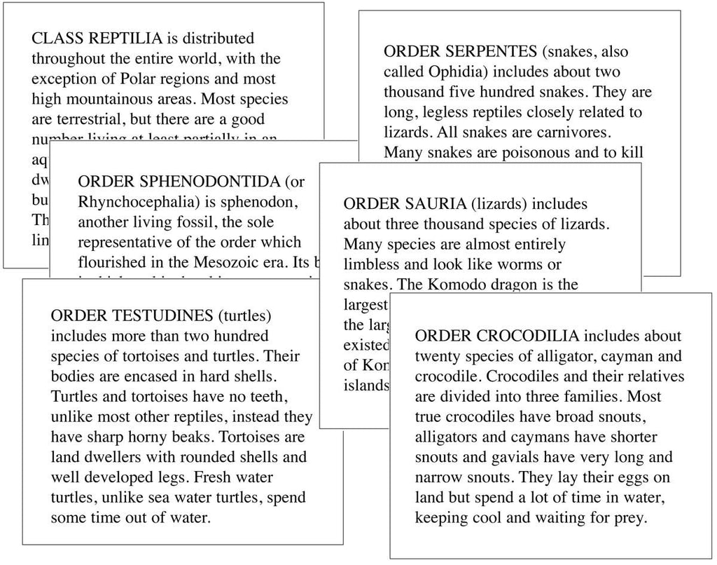 Class Reptilia/Amphibia Classification Set – Montessori Materials by ...