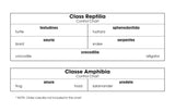 Class Reptilia/Amphibia Classification Set - M&M Montessori Materials
 - 3