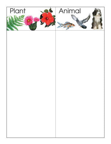 Plant/Animal - M&M Montessori Materials
