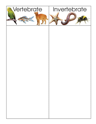 Vertebrate/Invertebrate - M&M Montessori Materials
