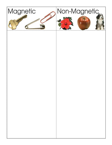 Magnetic/Non-magnetic - M&M Montessori Materials
